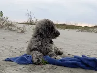 processed/c82af7d3-7f04-4d6e-b2c3-b4ea183ed2f7/listing/2562f4a2-daa9-44e2-8801-e20ef4d076a4/60562f7a-0cd7-414e-82da-fa6f21c40497