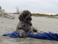 processed/c82af7d3-7f04-4d6e-b2c3-b4ea183ed2f7/listing/2562f4a2-daa9-44e2-8801-e20ef4d076a4/bdb3cd1c-c9ad-48e5-a340-db3cc8c4c574