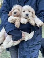 processed/c82af7d3-7f04-4d6e-b2c3-b4ea183ed2f7/listing/3691b2de-ea8c-4ed3-b7d1-b62fb7982360/5df386a4-287c-43ef-9360-8ff07651e30e