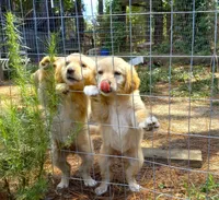 processed/c82af7d3-7f04-4d6e-b2c3-b4ea183ed2f7/listing/3691b2de-ea8c-4ed3-b7d1-b62fb7982360/bf89fa55-1896-443f-9ca8-94cd1b180a82