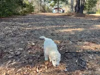 processed/c82af7d3-7f04-4d6e-b2c3-b4ea183ed2f7/listing/3691b2de-ea8c-4ed3-b7d1-b62fb7982360/dc5a8fb9-368d-4ec8-b656-e8cce4789ea2