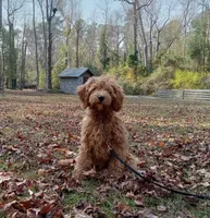 processed/c82af7d3-7f04-4d6e-b2c3-b4ea183ed2f7/listing/39009310-37fc-4add-8076-e919ed3d8291/0d169633-e072-4dab-b021-2b55d04363f0