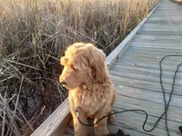 processed/c82af7d3-7f04-4d6e-b2c3-b4ea183ed2f7/listing/39009310-37fc-4add-8076-e919ed3d8291/b25470e2-daaa-4347-8b9c-71fdea54cb33