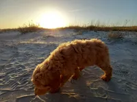 processed/c82af7d3-7f04-4d6e-b2c3-b4ea183ed2f7/listing/39009310-37fc-4add-8076-e919ed3d8291/b3f47512-9f5b-4c21-bb13-bb5142f43f7e