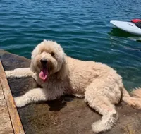 processed/c82af7d3-7f04-4d6e-b2c3-b4ea183ed2f7/listing/39009310-37fc-4add-8076-e919ed3d8291/c6f22bf1-ae94-4299-931a-5460ae60a985