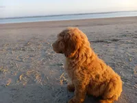 processed/c82af7d3-7f04-4d6e-b2c3-b4ea183ed2f7/listing/519d1eaa-d62a-47df-8048-bd00ecc4e9bf/1eb50351-02c0-4adb-93c9-519495a4e4f5