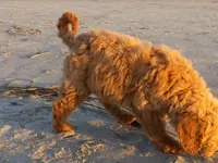 processed/c82af7d3-7f04-4d6e-b2c3-b4ea183ed2f7/listing/519d1eaa-d62a-47df-8048-bd00ecc4e9bf/2e4a2694-b298-4eeb-aad5-7f431d805255