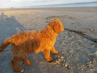 processed/c82af7d3-7f04-4d6e-b2c3-b4ea183ed2f7/listing/519d1eaa-d62a-47df-8048-bd00ecc4e9bf/8365eb6a-efe2-42c7-bcf9-bb2d9a5732c5