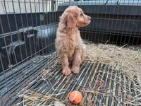 processed/c82af7d3-7f04-4d6e-b2c3-b4ea183ed2f7/listing/5c48a560-d009-4e8b-bc4e-57f7cde74b6b/0f0d321d-f582-483a-8ce5-12cf3724a67a