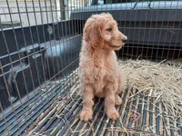 processed/c82af7d3-7f04-4d6e-b2c3-b4ea183ed2f7/listing/5c48a560-d009-4e8b-bc4e-57f7cde74b6b/b4800bda-3ee6-4172-a633-13a35b29a0d0