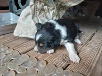 processed/c82af7d3-7f04-4d6e-b2c3-b4ea183ed2f7/listing/5cabcf02-168e-459a-a8a2-95ed2bb52da6/dfc5d307-c2e6-4450-b995-66e061d7c0ff