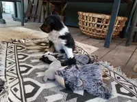 processed/c82af7d3-7f04-4d6e-b2c3-b4ea183ed2f7/listing/5cabcf02-168e-459a-a8a2-95ed2bb52da6/ff62b247-28af-4439-9c61-82453f97a579