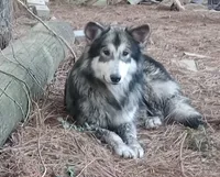 processed/c82af7d3-7f04-4d6e-b2c3-b4ea183ed2f7/listing/5ed8b9f7-77e9-48f2-b56b-3c3686dea142/9ea3691f-5547-4cb3-9867-28aee529d6b2