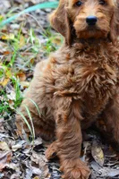 processed/c82af7d3-7f04-4d6e-b2c3-b4ea183ed2f7/listing/67ceaaa6-12e1-4c7c-9960-843b46a53c8e/3d9efa25-9feb-4adb-89f1-b83c511d95df