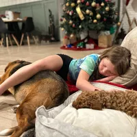 Ellis, a female Goldendoodle for sale in Cameron, SC – Photo 3 of 4