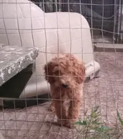 processed/c82af7d3-7f04-4d6e-b2c3-b4ea183ed2f7/listing/67ceaaa6-12e1-4c7c-9960-843b46a53c8e/898771d0-4159-4086-b590-6e7186a06958