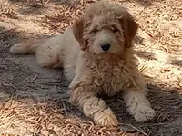 processed/c82af7d3-7f04-4d6e-b2c3-b4ea183ed2f7/listing/67ceaaa6-12e1-4c7c-9960-843b46a53c8e/fe31b929-7612-4850-a57d-dea8296f7ebf