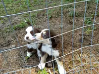 processed/c82af7d3-7f04-4d6e-b2c3-b4ea183ed2f7/listing/75f42f3a-4fe9-4f63-9cc5-03548ec88cdd/0d205fb9-da11-46dd-8b76-dd99561edf10