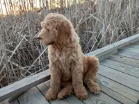 processed/c82af7d3-7f04-4d6e-b2c3-b4ea183ed2f7/listing/84543ca9-52f9-4c4e-aa9d-0b5f1d1af6b8/2e433ab7-c487-4ff4-9551-3fdcc1c73560