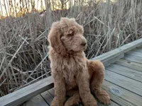 processed/c82af7d3-7f04-4d6e-b2c3-b4ea183ed2f7/listing/84543ca9-52f9-4c4e-aa9d-0b5f1d1af6b8/cdbd1edd-cbba-4c28-8852-dac8ffd8a37e