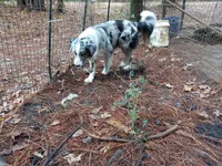 processed/c82af7d3-7f04-4d6e-b2c3-b4ea183ed2f7/listing/9e9b1520-812d-46ef-986b-d41062674bbb/b21b275f-b39d-4d2c-83dd-576a6f85c959