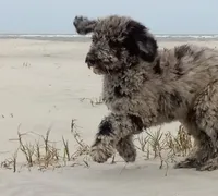 processed/c82af7d3-7f04-4d6e-b2c3-b4ea183ed2f7/listing/ac030911-5091-47de-af07-d74e45e3ec30/06e2d61c-a275-416d-8b53-db30723aad85