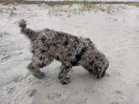 processed/c82af7d3-7f04-4d6e-b2c3-b4ea183ed2f7/listing/ac030911-5091-47de-af07-d74e45e3ec30/b84e0b23-8a6f-4e30-a2b1-226e3b57434c