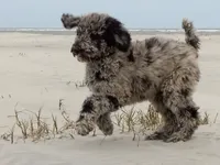 processed/c82af7d3-7f04-4d6e-b2c3-b4ea183ed2f7/listing/ac030911-5091-47de-af07-d74e45e3ec30/c9db7426-d1d2-4cee-8d25-06b12958f13a