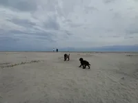 processed/c82af7d3-7f04-4d6e-b2c3-b4ea183ed2f7/listing/ac030911-5091-47de-af07-d74e45e3ec30/eb96581e-1457-4bd7-8291-dea7a7aa965b