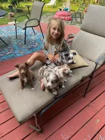 processed/c82af7d3-7f04-4d6e-b2c3-b4ea183ed2f7/listing/c2d2d69e-b8f5-47d8-96eb-7af6ccbcc269/3ab3e747-6212-4afe-81cb-3e998b26cefc