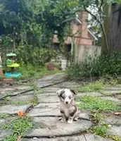 processed/c82af7d3-7f04-4d6e-b2c3-b4ea183ed2f7/listing/c2d2d69e-b8f5-47d8-96eb-7af6ccbcc269/a79cbec8-e211-496a-8a80-bf7205a311ba