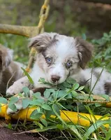 processed/c82af7d3-7f04-4d6e-b2c3-b4ea183ed2f7/listing/c2d2d69e-b8f5-47d8-96eb-7af6ccbcc269/d5c5c5e7-5e4c-4c39-a39e-3ff13706d016