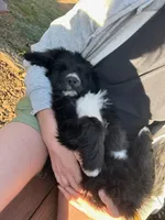 processed/c82af7d3-7f04-4d6e-b2c3-b4ea183ed2f7/listing/c3efa9c3-5674-469f-b563-6c200460c7b4/0361a7e1-9e54-4fdc-8304-9e4eb7ee738c