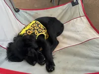 processed/c82af7d3-7f04-4d6e-b2c3-b4ea183ed2f7/listing/c3efa9c3-5674-469f-b563-6c200460c7b4/14578be9-e906-4ed6-8b39-80c4ae2a99dc