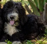 processed/c82af7d3-7f04-4d6e-b2c3-b4ea183ed2f7/listing/c3efa9c3-5674-469f-b563-6c200460c7b4/38d0653d-210c-4514-ad7b-849873e898bf