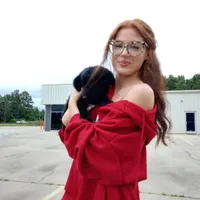 Kiki, a male Miniature Goldendoodle for sale in Cameron, SC – Photo 4 of 6