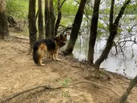 processed/c82af7d3-7f04-4d6e-b2c3-b4ea183ed2f7/listing/e3de602d-9bbd-4752-b017-fa3426c638c4/07d86d06-40e9-48ca-b184-71909f432c7e