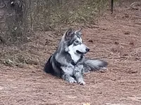 processed/c82af7d3-7f04-4d6e-b2c3-b4ea183ed2f7/listing/e3de602d-9bbd-4752-b017-fa3426c638c4/356a0d2b-3ad3-4d16-9620-6258b9f48799