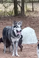 processed/c82af7d3-7f04-4d6e-b2c3-b4ea183ed2f7/listing/e3de602d-9bbd-4752-b017-fa3426c638c4/6433f511-924c-40a9-a1d2-de3204bc67fb