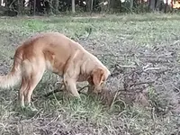 processed/c82af7d3-7f04-4d6e-b2c3-b4ea183ed2f7/listing/ebd8ce4d-04f3-4fe9-9802-3cc07f5755d9/1eae66ca-076d-47b2-a957-a247b96955ef