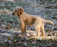 processed/c82af7d3-7f04-4d6e-b2c3-b4ea183ed2f7/listing/ebd8ce4d-04f3-4fe9-9802-3cc07f5755d9/1fa9d9f8-2d1f-4769-8388-35a4e9921abd