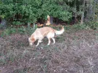 processed/c82af7d3-7f04-4d6e-b2c3-b4ea183ed2f7/listing/ebd8ce4d-04f3-4fe9-9802-3cc07f5755d9/8e484529-885a-4711-8c81-869be78250c6