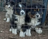 processed/c82af7d3-7f04-4d6e-b2c3-b4ea183ed2f7/listing/ed3398be-0d8d-474a-aa8d-2bf35c38bba5/77400b3c-77a2-40f8-803b-1d23dce6a963