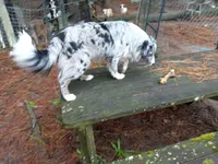 processed/c82af7d3-7f04-4d6e-b2c3-b4ea183ed2f7/listing/edd663b9-b6fe-4963-8cc1-5cd5ce23bf38/92e2495e-9059-4e11-b3ca-6331b3fc6a60