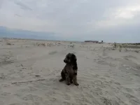 processed/c82af7d3-7f04-4d6e-b2c3-b4ea183ed2f7/listing/ef4b8c50-a22e-4dc5-a8cc-6b3cf8b1e286/03502fdf-0ff3-42eb-aa93-086211a906c0