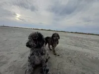 processed/c82af7d3-7f04-4d6e-b2c3-b4ea183ed2f7/listing/ef4b8c50-a22e-4dc5-a8cc-6b3cf8b1e286/162d9430-63f3-422e-97a3-2fdc48c55517