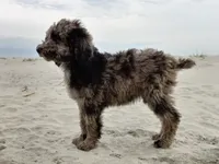 processed/c82af7d3-7f04-4d6e-b2c3-b4ea183ed2f7/listing/ef4b8c50-a22e-4dc5-a8cc-6b3cf8b1e286/66b20af2-76e8-4e4d-a50c-714ffb6e4c59