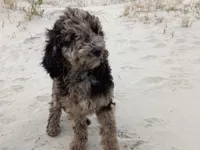 processed/c82af7d3-7f04-4d6e-b2c3-b4ea183ed2f7/listing/ef4b8c50-a22e-4dc5-a8cc-6b3cf8b1e286/eaf91eff-717d-49c0-a31e-12cb9e0352c4