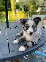 processed/c82af7d3-7f04-4d6e-b2c3-b4ea183ed2f7/listing/f147ec82-5924-4afd-8e01-f2c804007c1f/303718ea-5c27-4ab9-ada3-7ca381d6213c