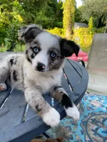 processed/c82af7d3-7f04-4d6e-b2c3-b4ea183ed2f7/listing/f147ec82-5924-4afd-8e01-f2c804007c1f/88a7061a-a036-4dcb-b4a5-394476207ade